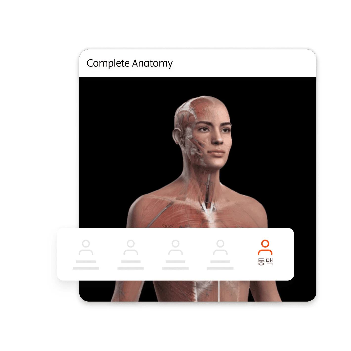 Complete Anatomy Human Anatomy 3D Model Header