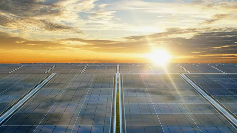 Solar panels field on a sunrise