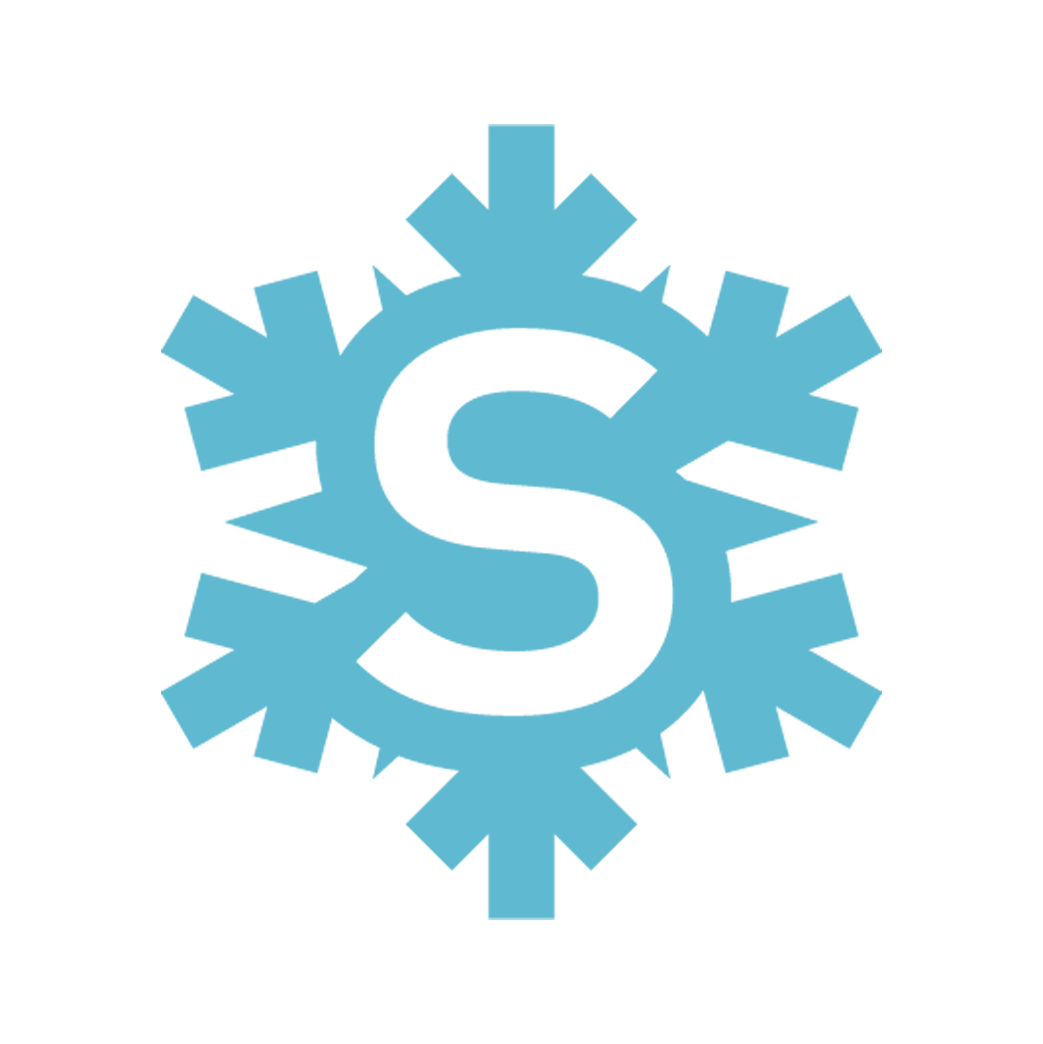 Snowball metrics logo