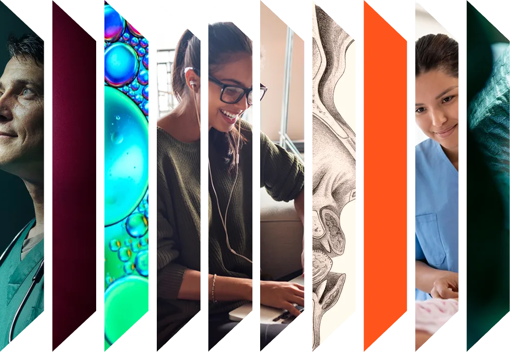 Colourful accordion of various health images