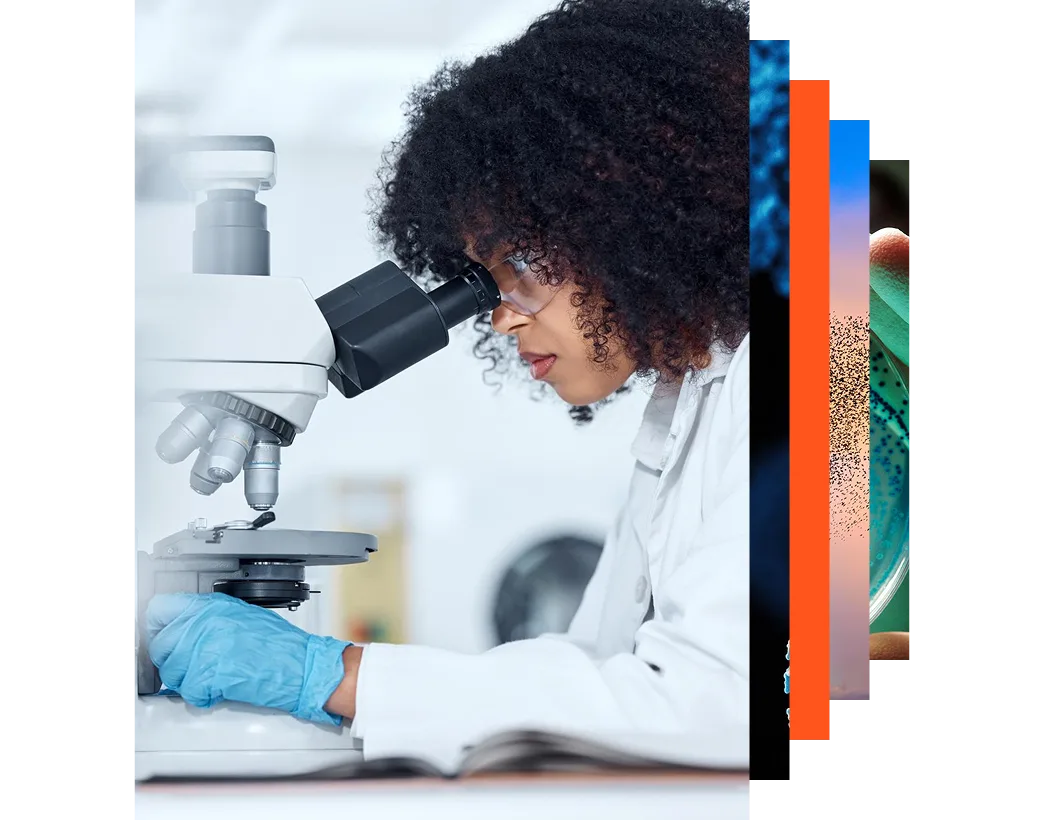 Mixed race scientist wearing safety goggles and gloves analysing medical test samples on a microscope in a lab