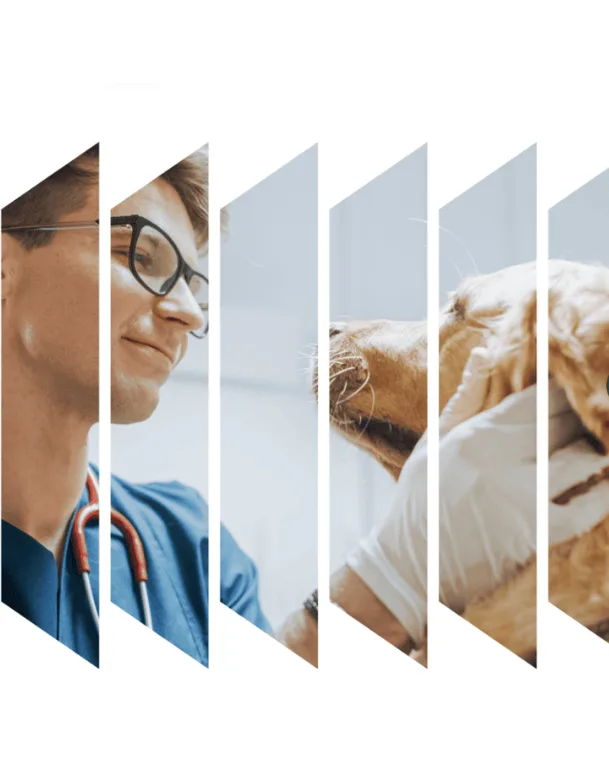 Veterinary Technology Catalog