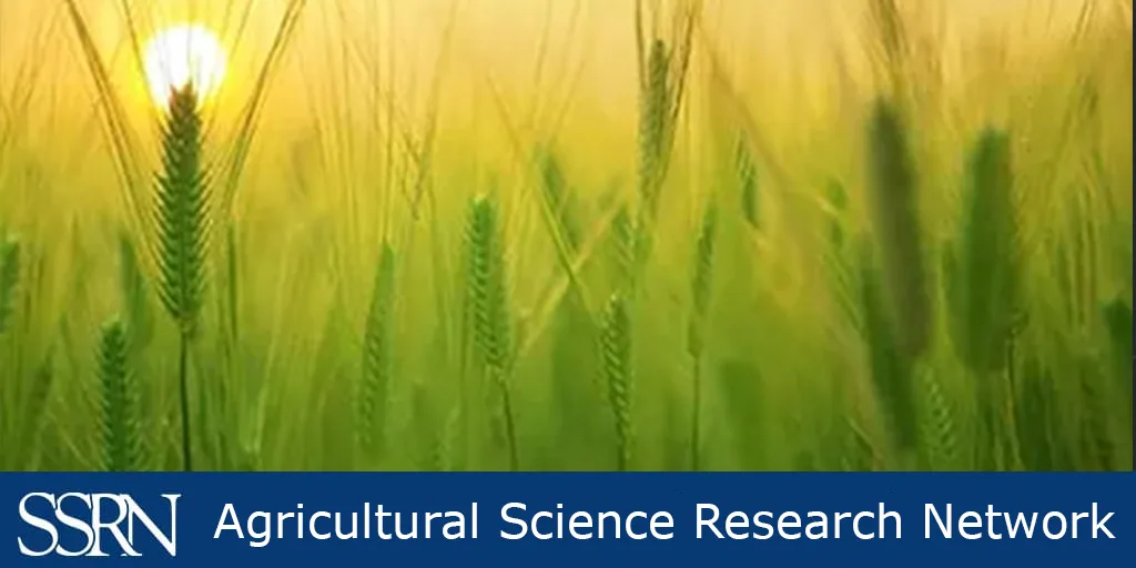 SSRN Agricultural Science Research Network - photo of a corn field