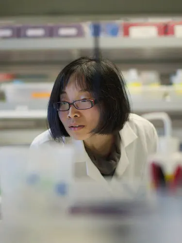 Female Asian Scientist Concentrating at a Biomedical Laboratory