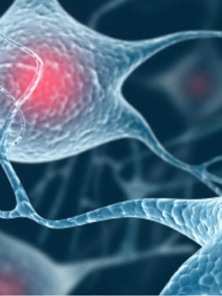 Journals in Neuroscience