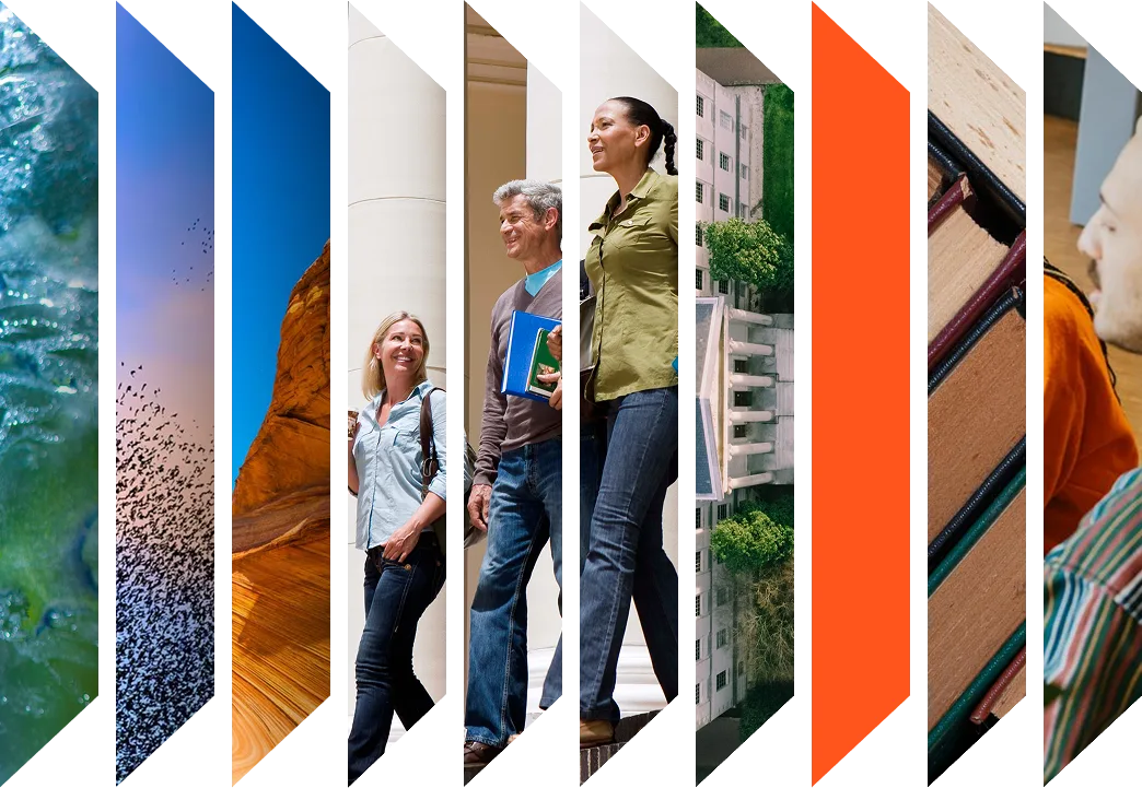 Colourful accordion of various images