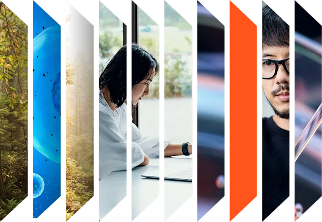 STEM 教育工具和数据库 | Elsevier