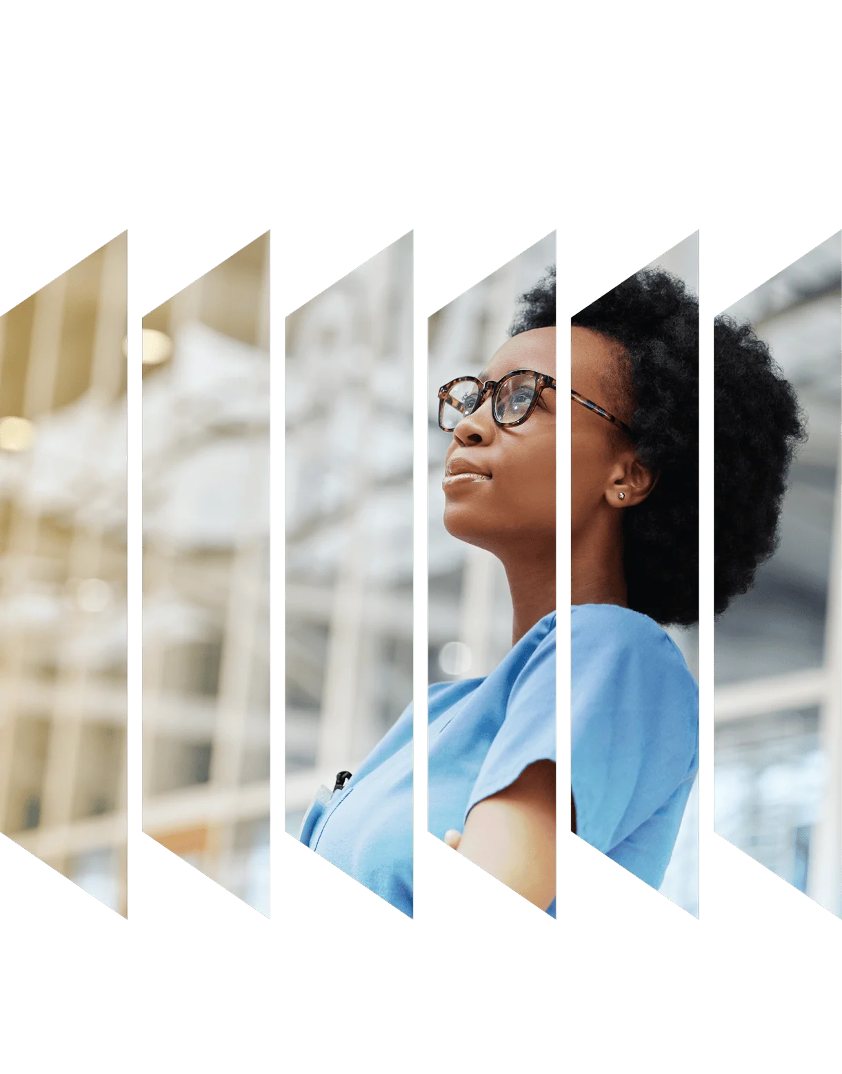 LPN/LVN Catalog image