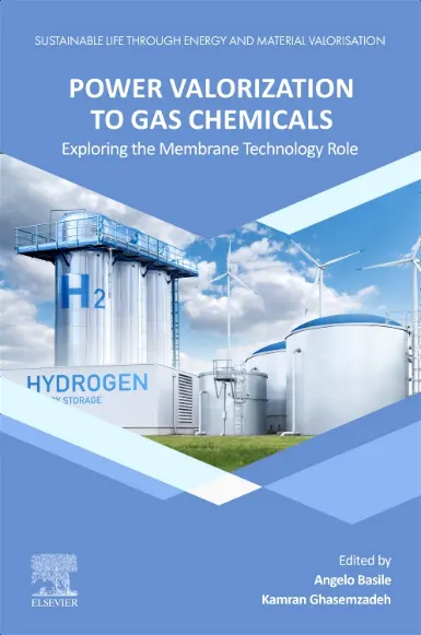Power Valorization to Gas Chemicals Book Cover