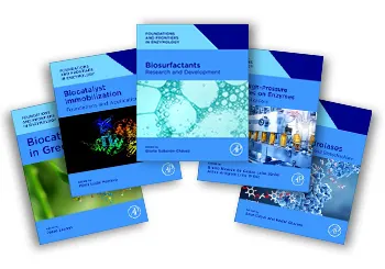 Sample cover of Foundations and Frontiers in Enzymology