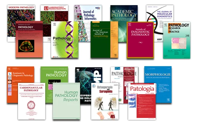 Pathology Portfolio journal collage