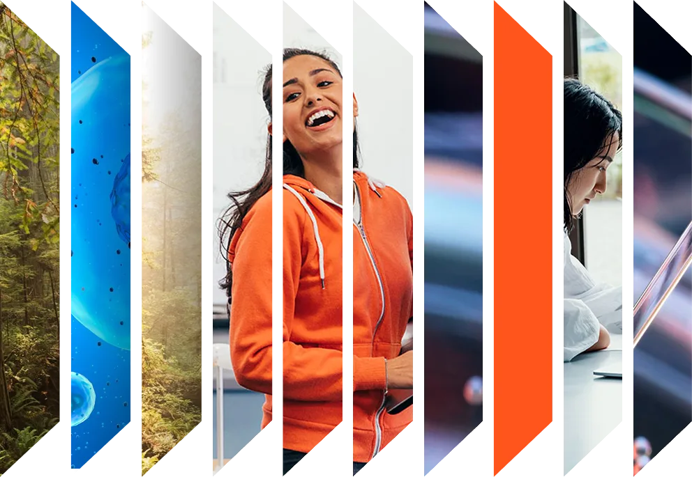 Colourful accordion of images