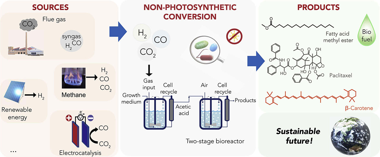 Carbon Capture, Utilization And Storage (CCUS) Guide For Engineers ...