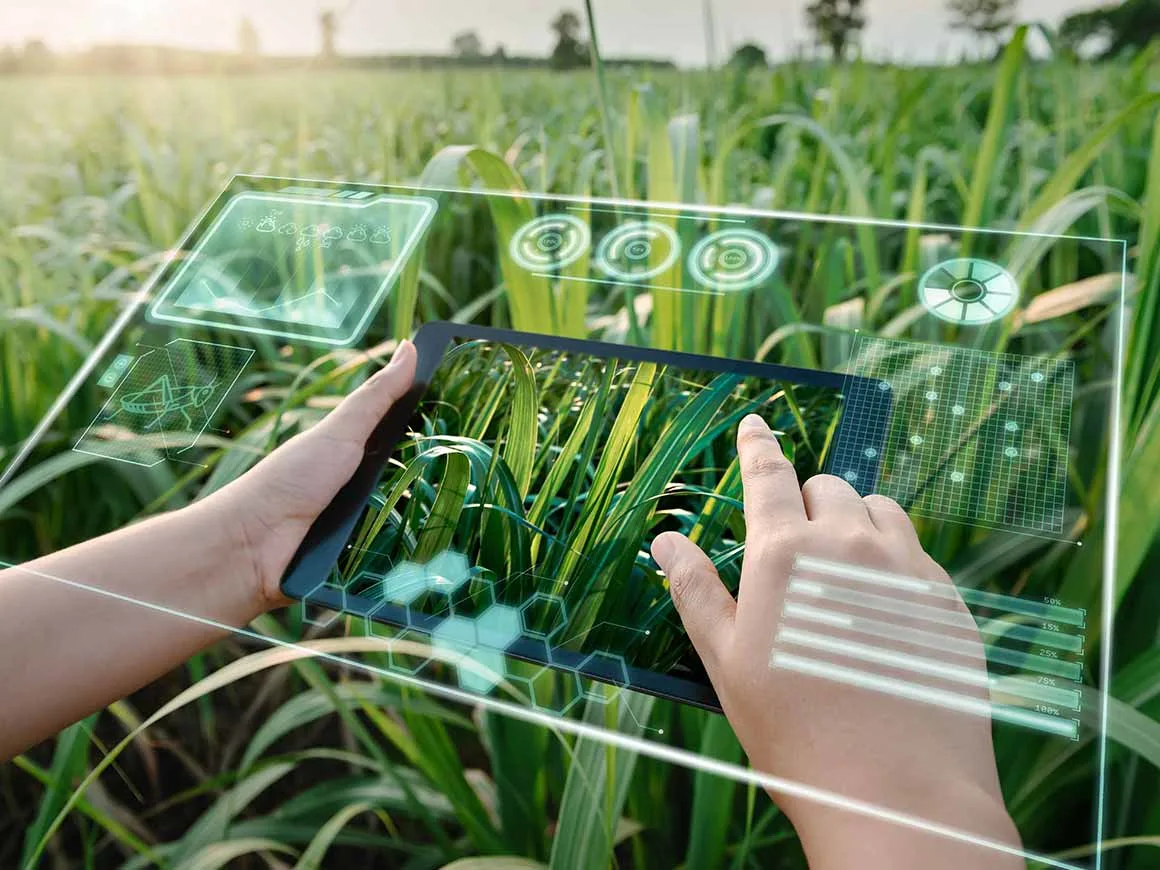 Farm worker using digital tablet