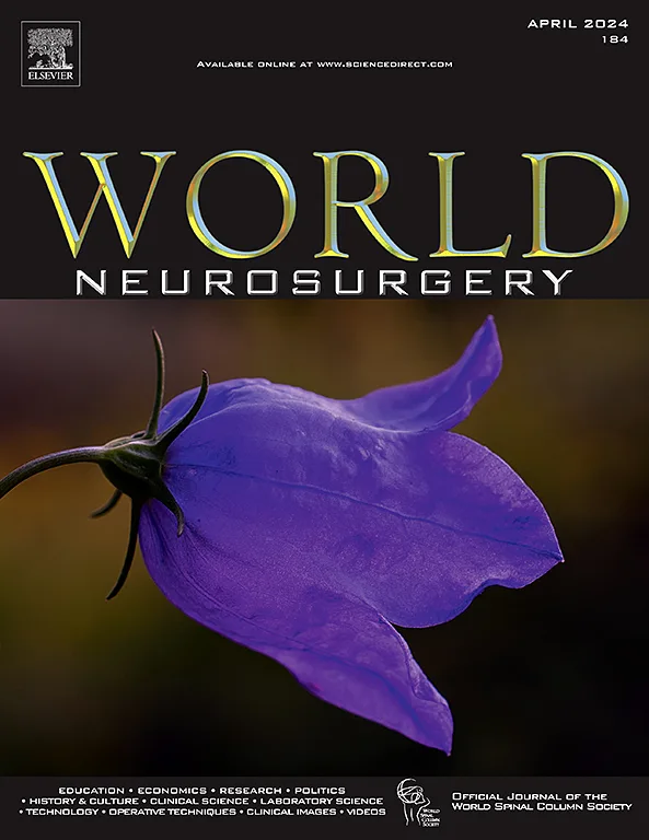 Sample cover of World Neurosurgery