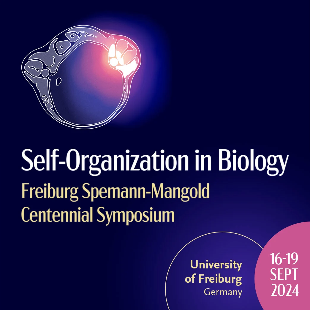 Logo for Self-Organization in Biology: Freiburg Spemann-Mangold Centennial Symposium 2024 conference