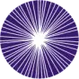logo美国眼科学会