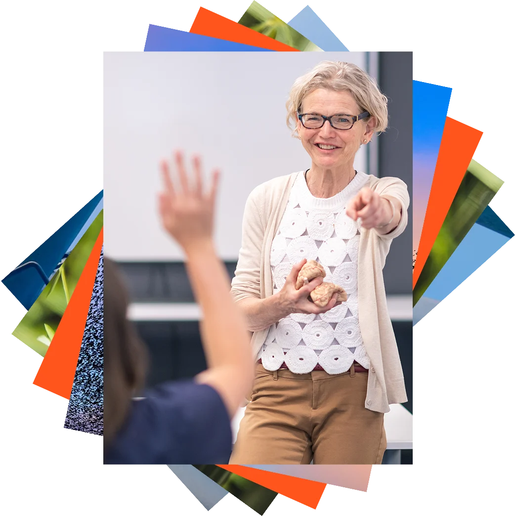 Mature female doctor holding a model of the brain giving a training lecture
