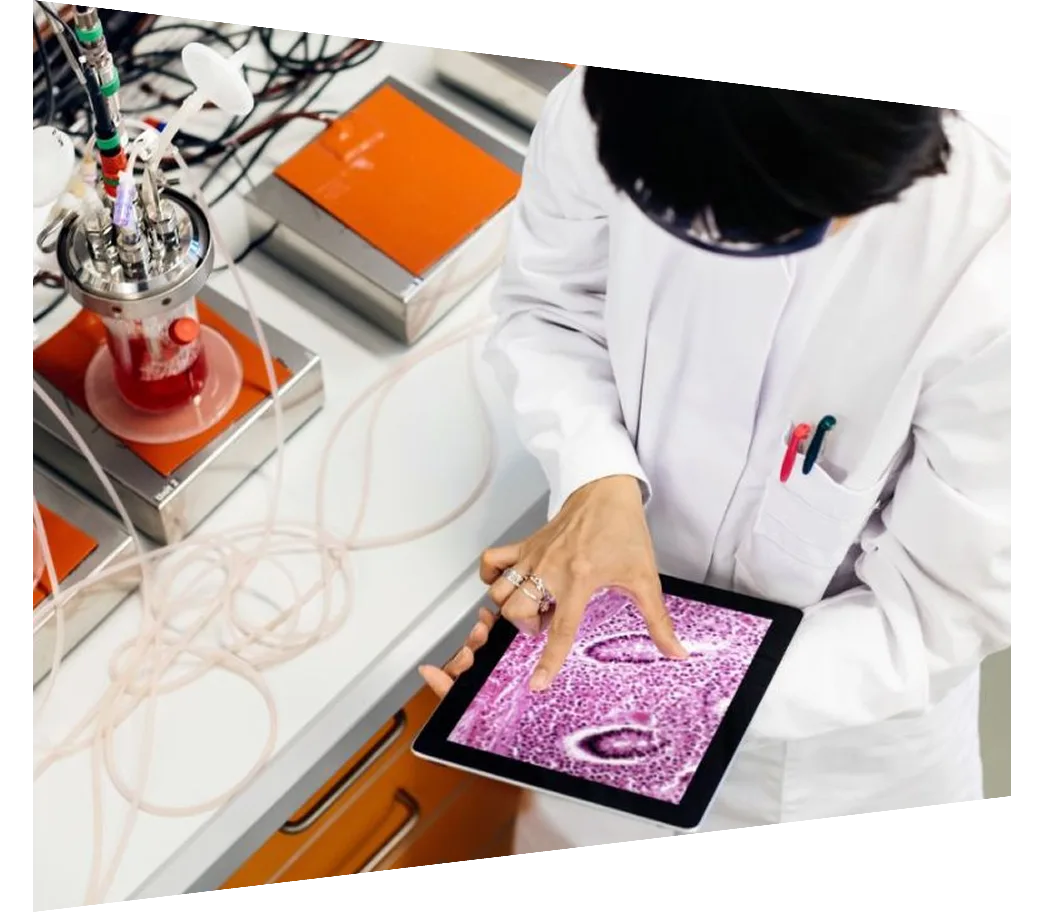 Female researcher enlarging cell on ipad