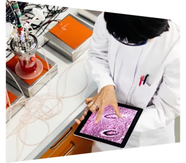 Female researcher enlarging cell on ipad