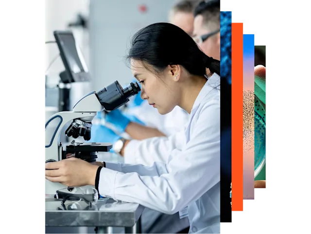 病理学诊断决策支持 | ExpertPath | Elsevier