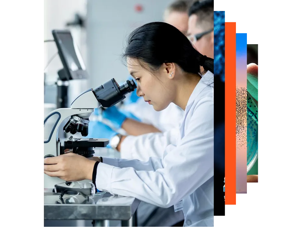 Female scientist conducting a microscope to conduct research