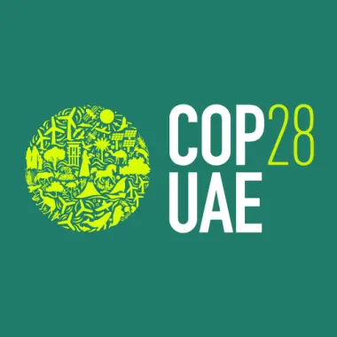 cop 28 uae image