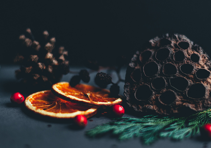 Dried orange slices