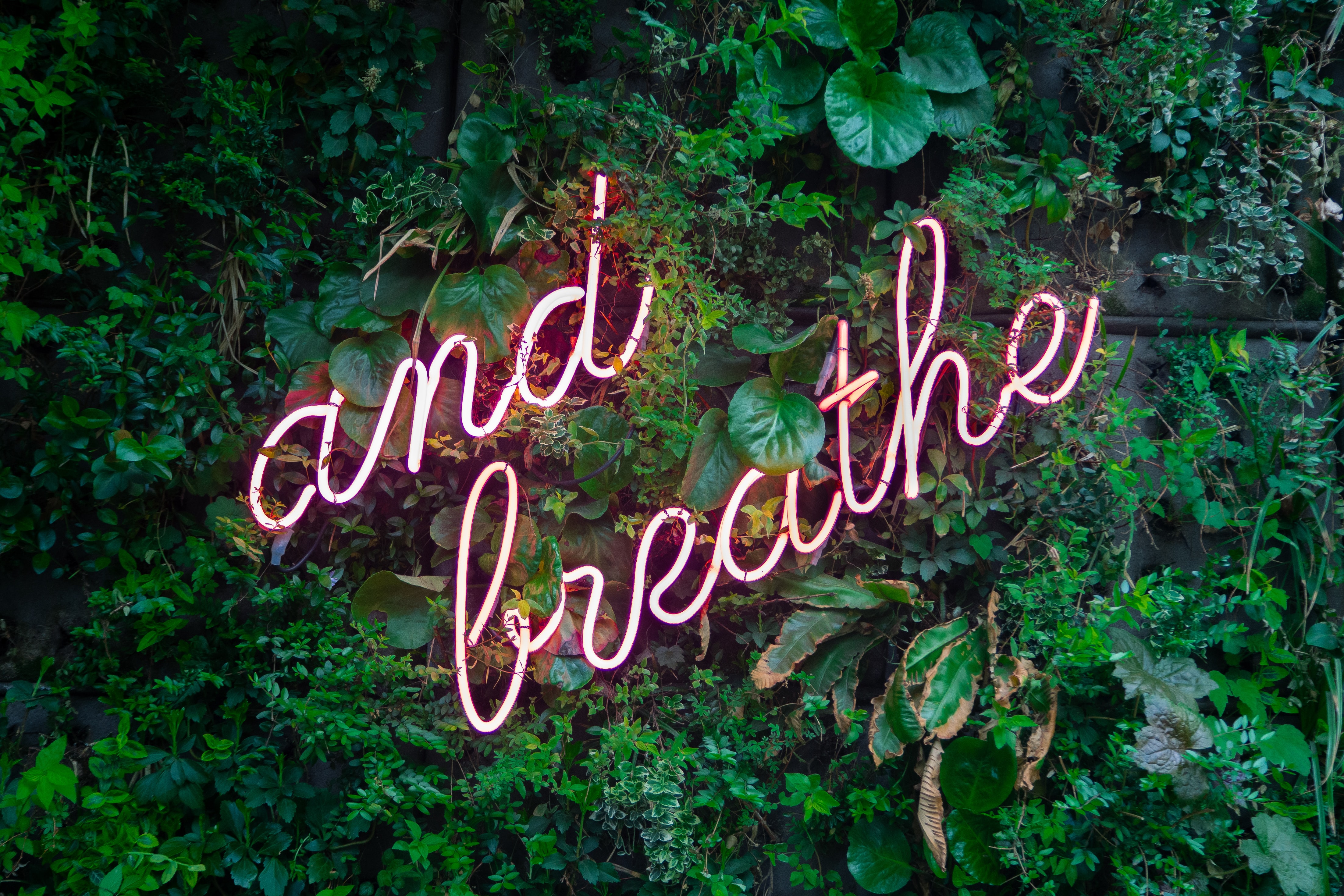 Mindfulness And Breathe