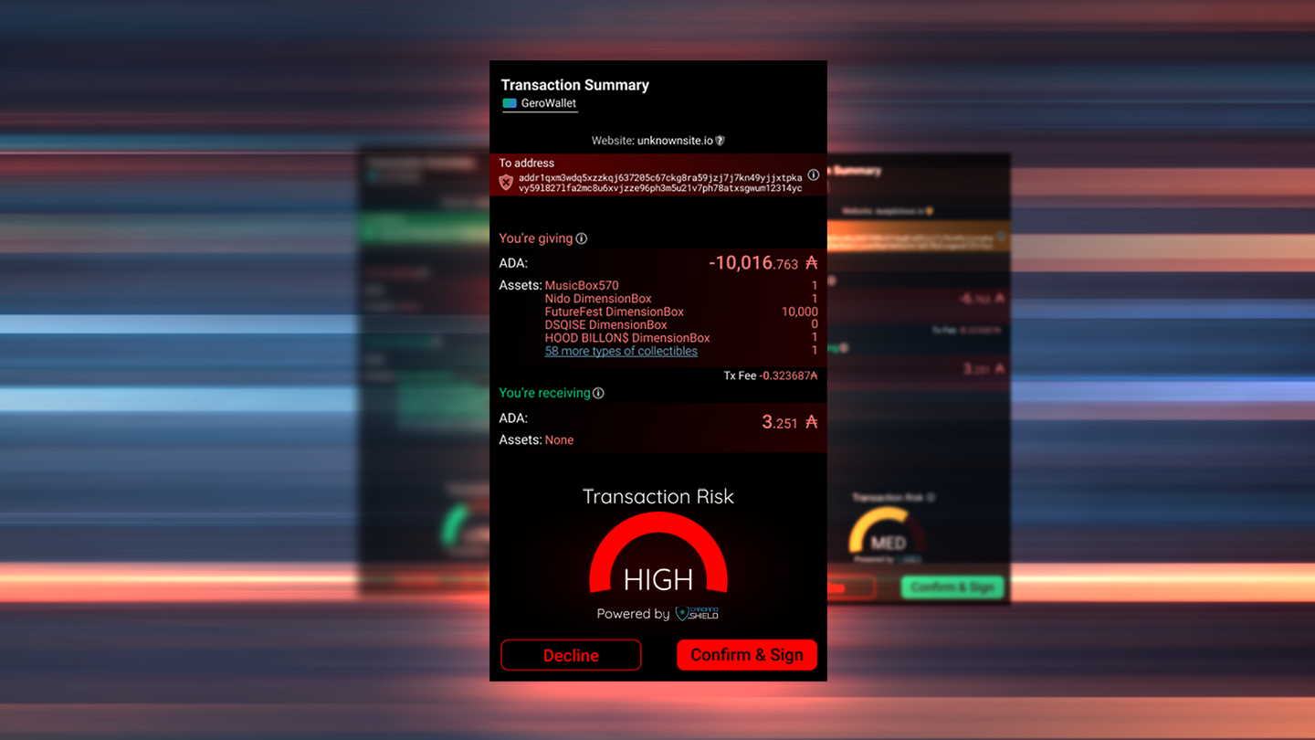 what-is-cardano-shield - Image 002-1db1db_d6976