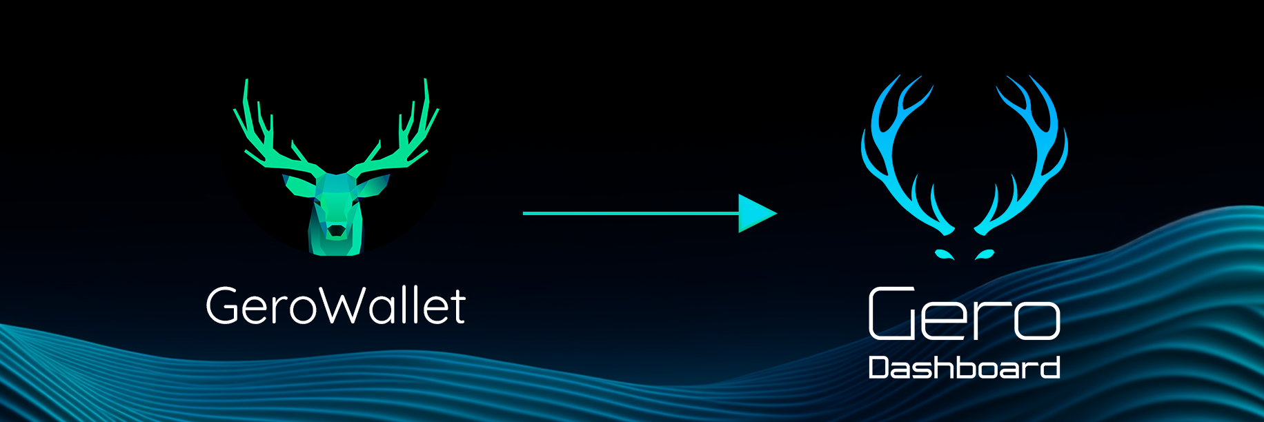 gero-dashboards-official-release - Image 001-79567a_74565