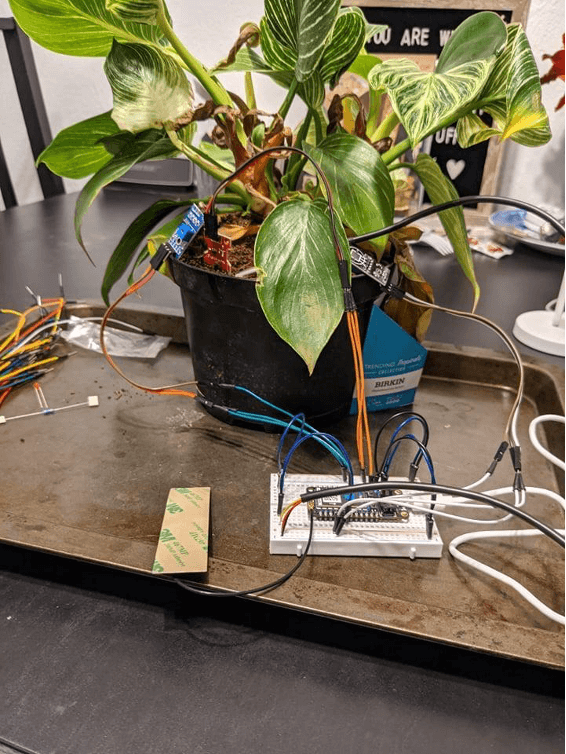 mmonitoring a plant