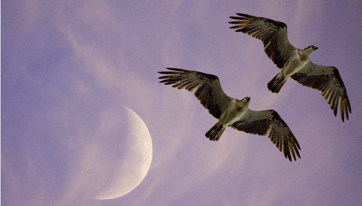 Soar Vs Siem Understanding The Differences Influxdata Soar Vs Siem Understanding The Differences Influxdata