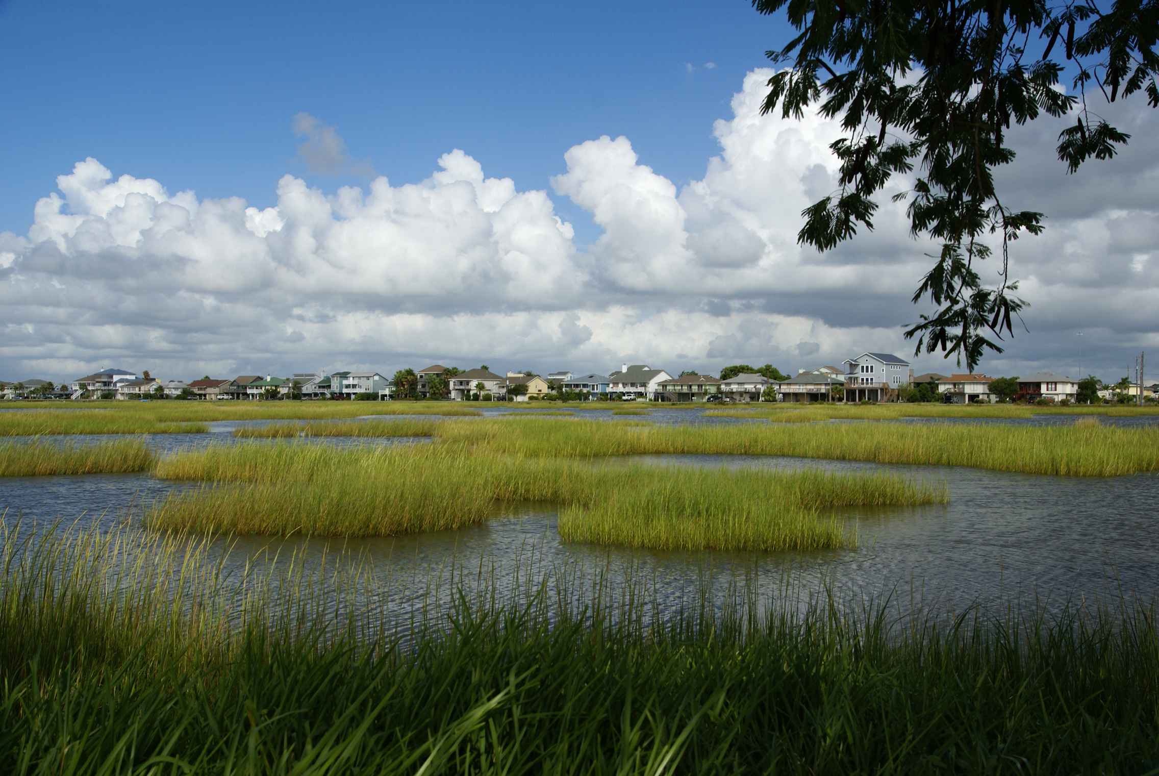 Memory Care in Texas City, TX