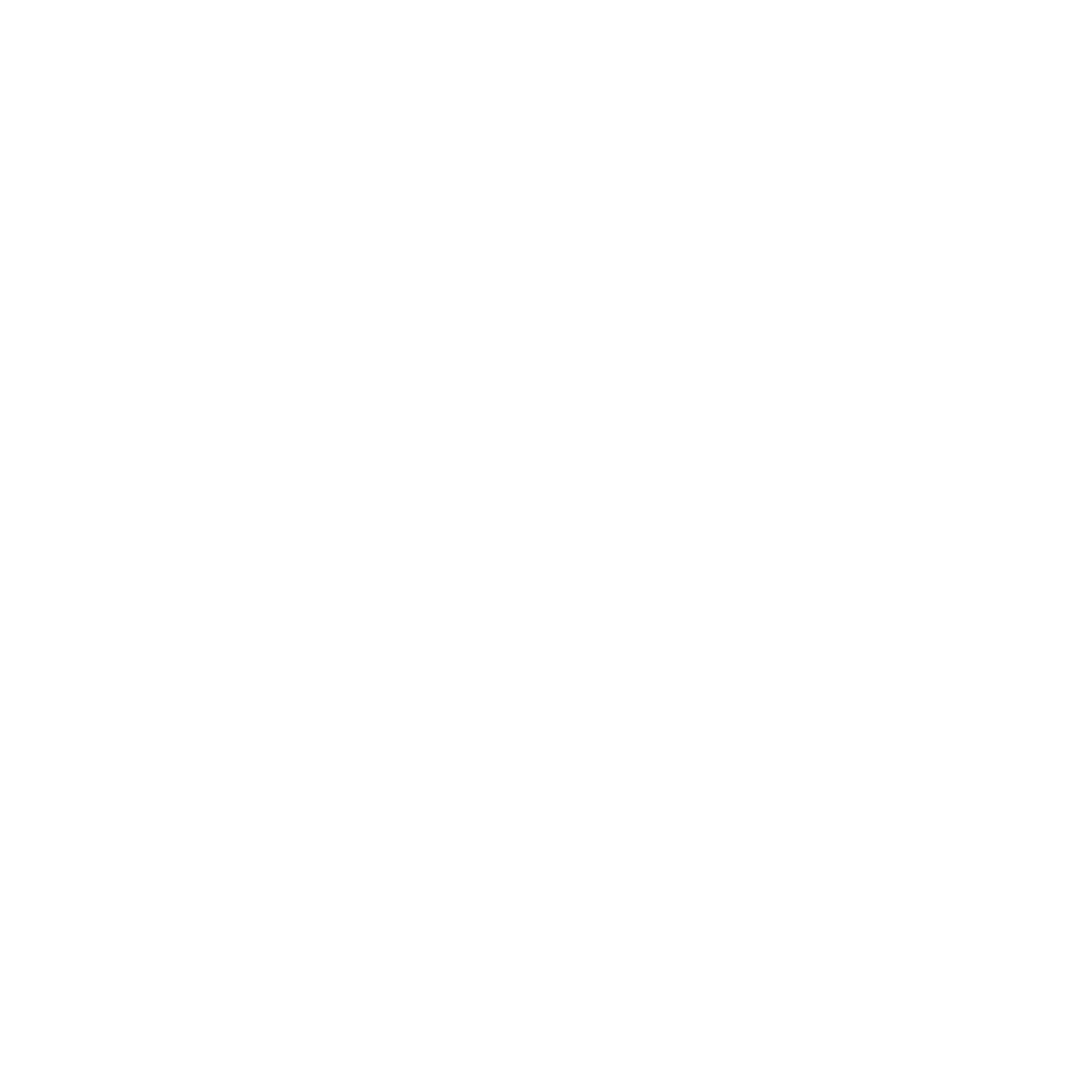 roaster Wonderstate's logo