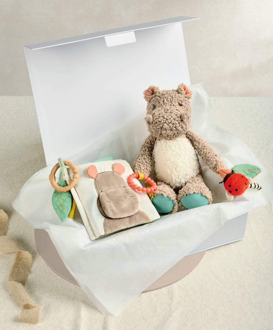 80311BW00 Babyplay Hippo & Book Gift Box Medium Styled still Hero