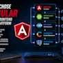 Why I Chose Angular as the Frontend of My Platform