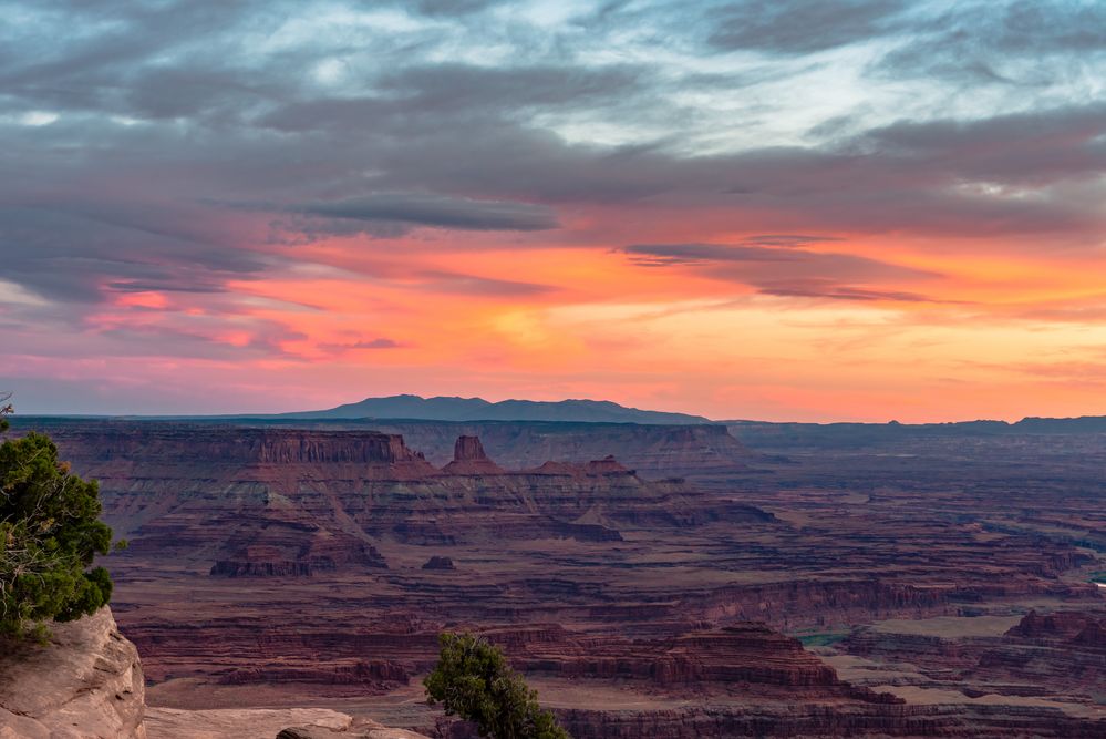 Dead Horse Point State Park is a state park in San Juan County, Utah in the United States, featuring a dramatic overlook of the Colorado River and Canyonlands National Park.