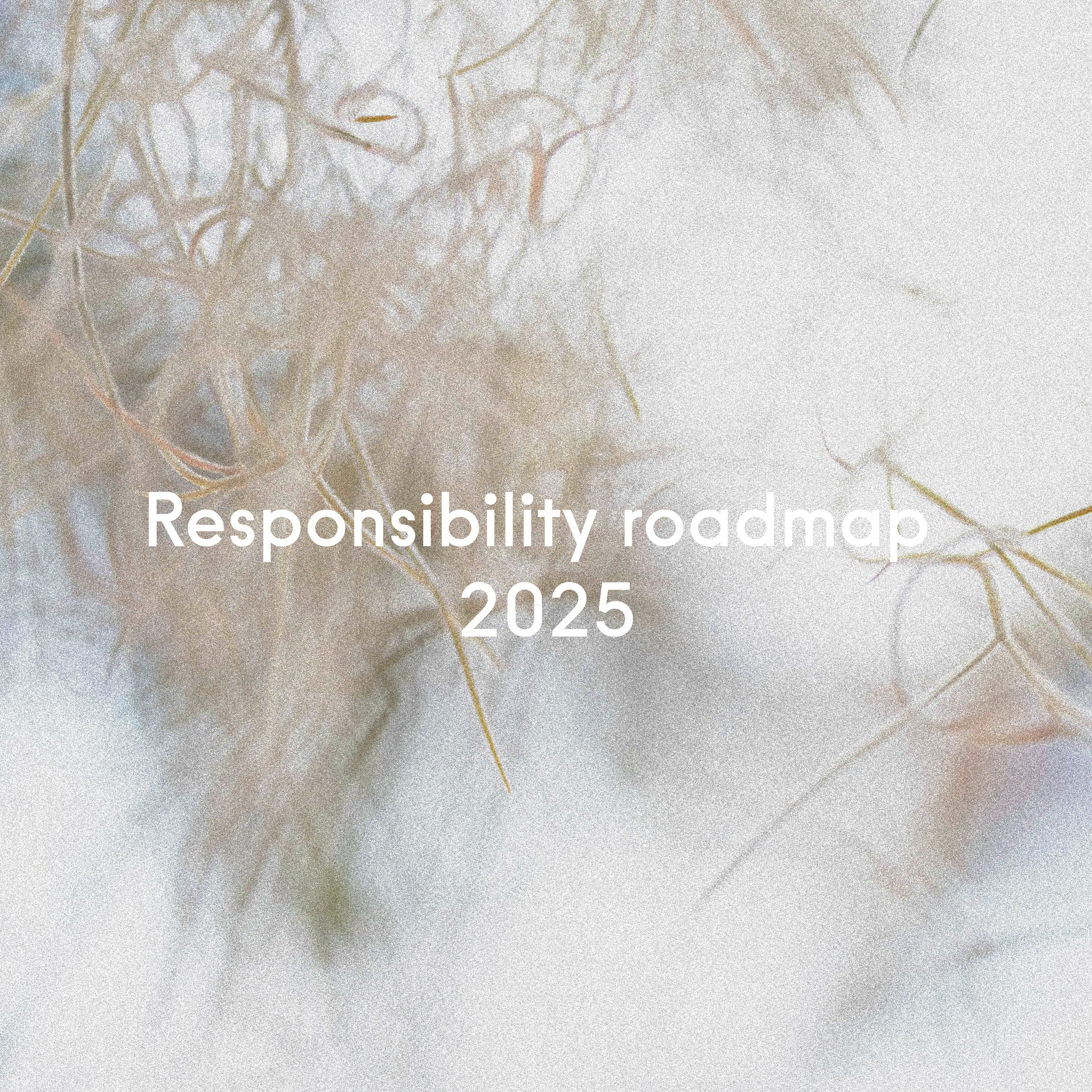 Roadmap 2025