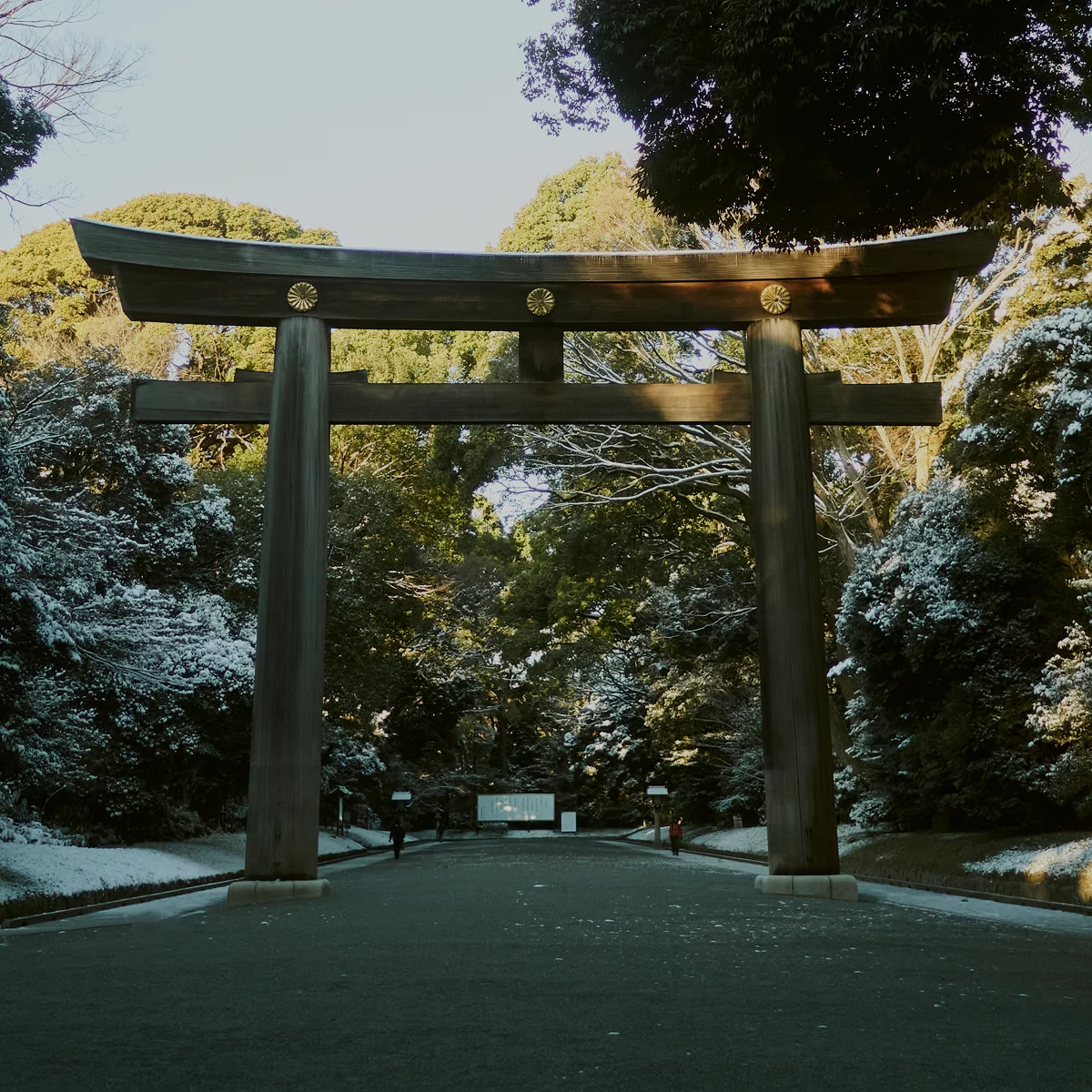 Shibuya Store - Shibuya City Guide (mobile)