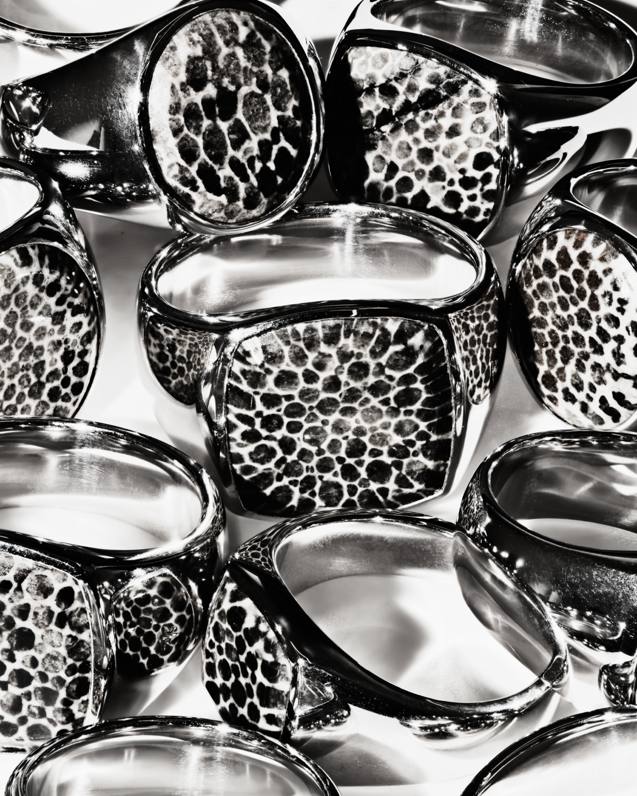 Snakeskin - Tom Wood Project Official Online Store