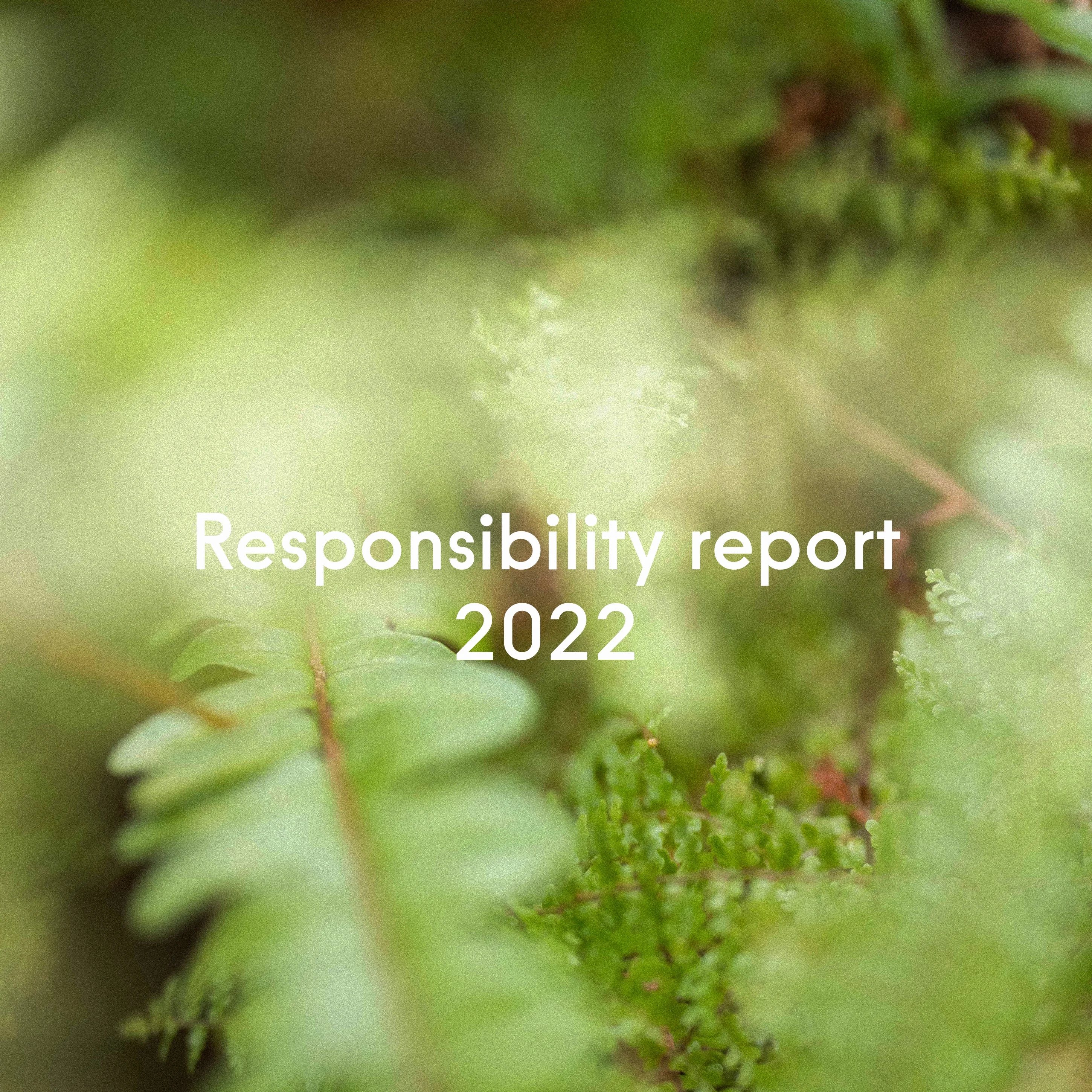 Responsibility report 2022