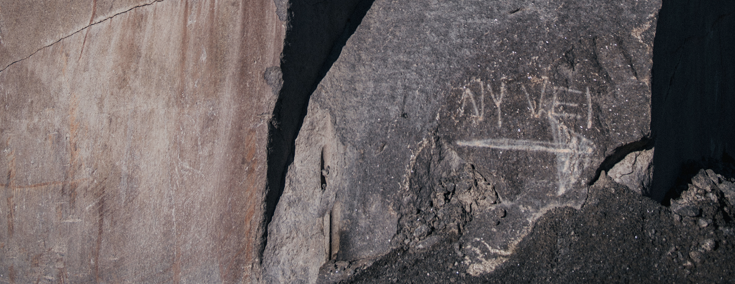 ROADMAP - Tom Wood Project Official Online Store