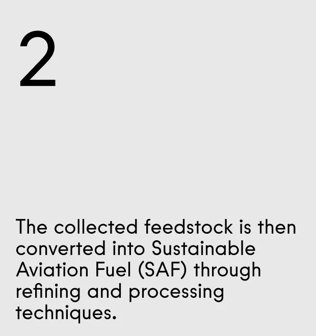 DHL GoGreen Plus/SAF - Gallery - 4 Steps - 2