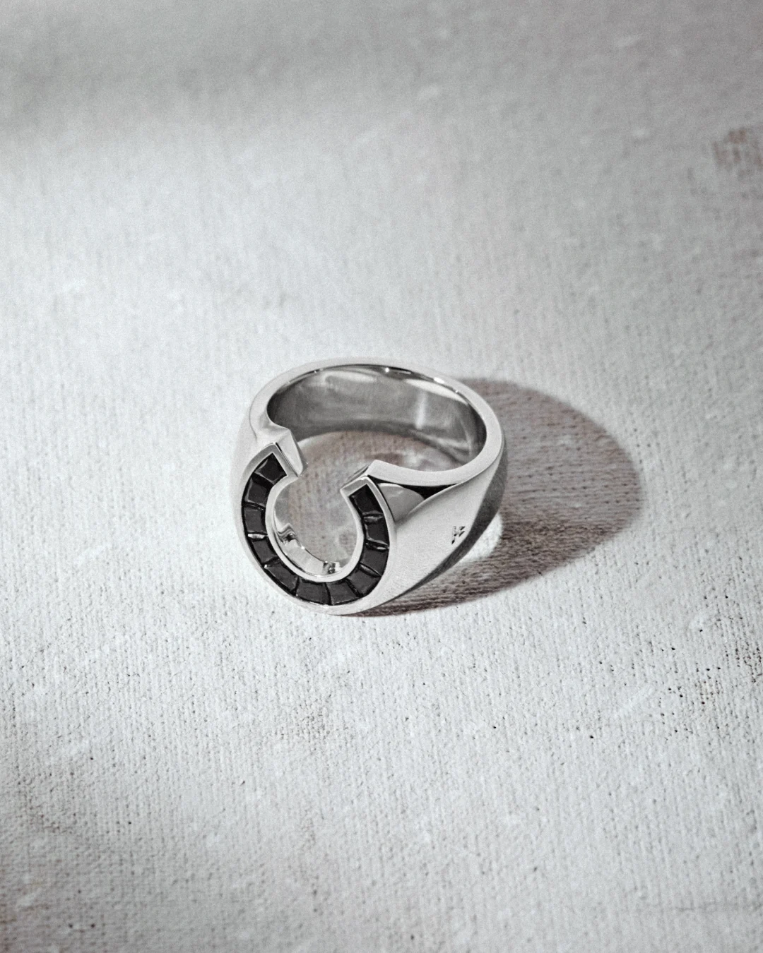 The Lunar Year Capsule - Image split #3 - Felix Ring