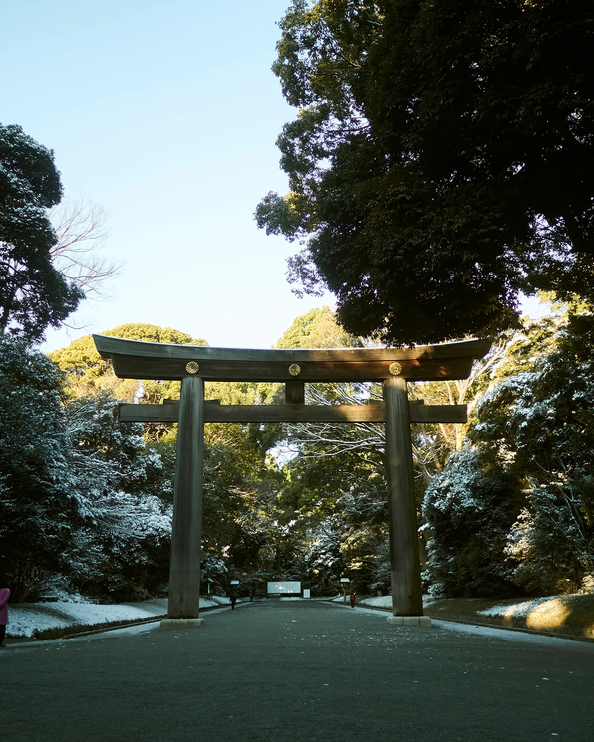 Shibuya City Guide - Banner (mobile)