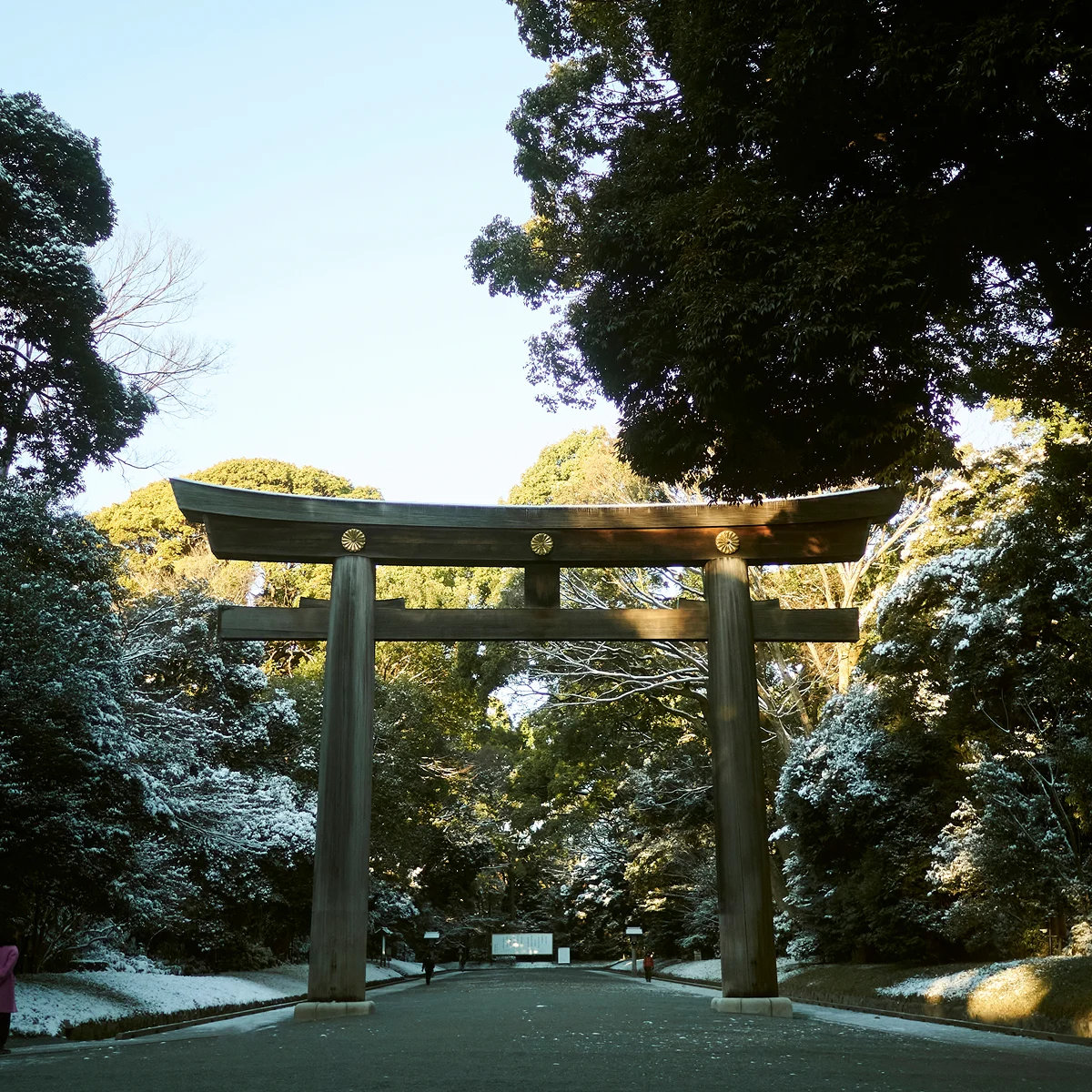 Shibuya City Guide - Image Split #4