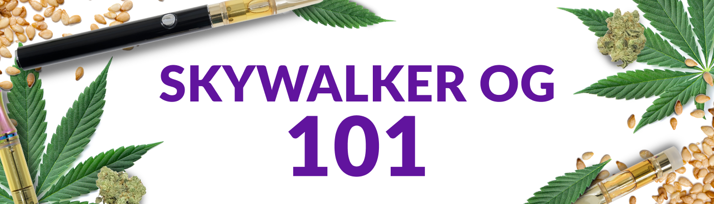 skywalker og 101