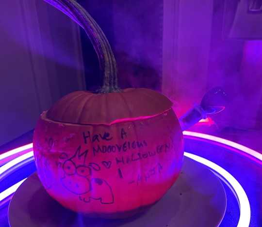 Pumpkin 6