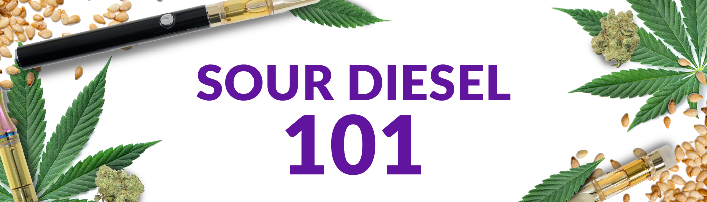 Sour Diesel 101